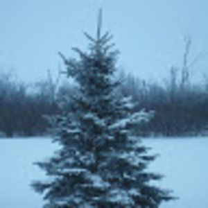 Meet your Posher, Jilly